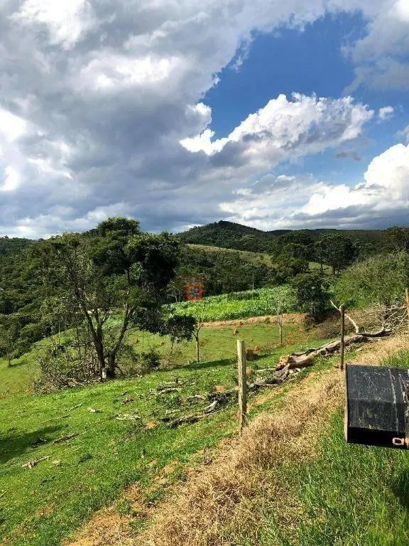 Fazenda à venda de 218 ha em Jambeiro, SP, Brasil