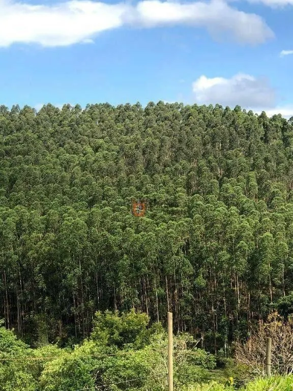 Fazenda à venda de 218 ha em Jambeiro, SP, Brasil