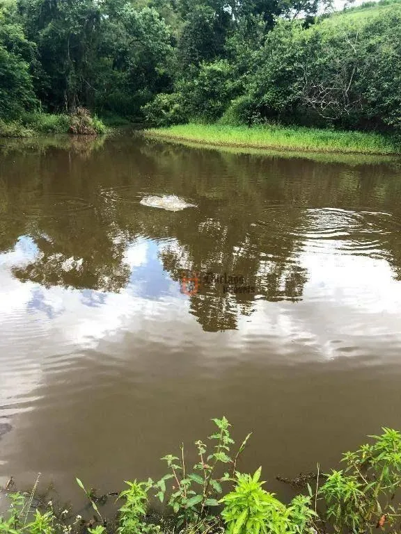 Fazenda à venda de 218 ha em Jambeiro, SP, Brasil