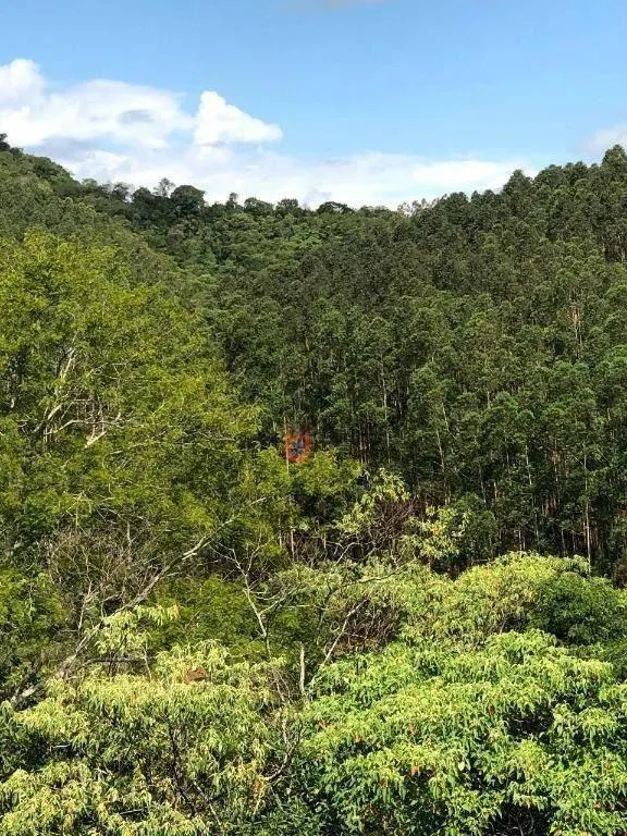Fazenda à venda de 218 ha em Jambeiro, SP, Brasil