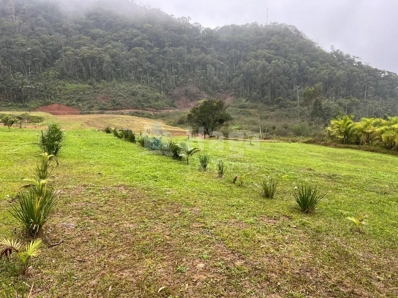 Fazenda à venda de 4.500 m² em Guabiruba, SC, Brasil