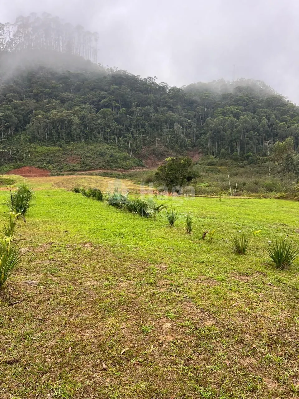Fazenda à venda de 4.500 m² em Guabiruba, SC, Brasil