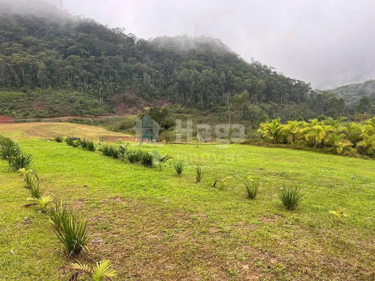 Fazenda à venda de 4.500 m² em Guabiruba, SC, Brasil