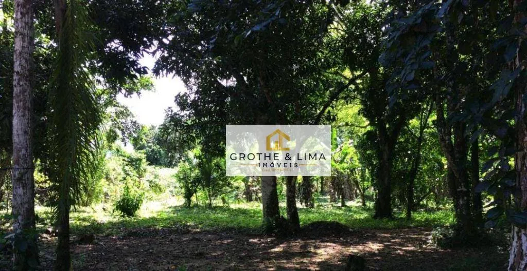 Plot for sale of 90 acres in Ubatuba, SP, Brazil