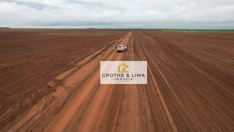 Fazenda à venda de 10.000 ha em Pedro Afonso, TO, Brasil