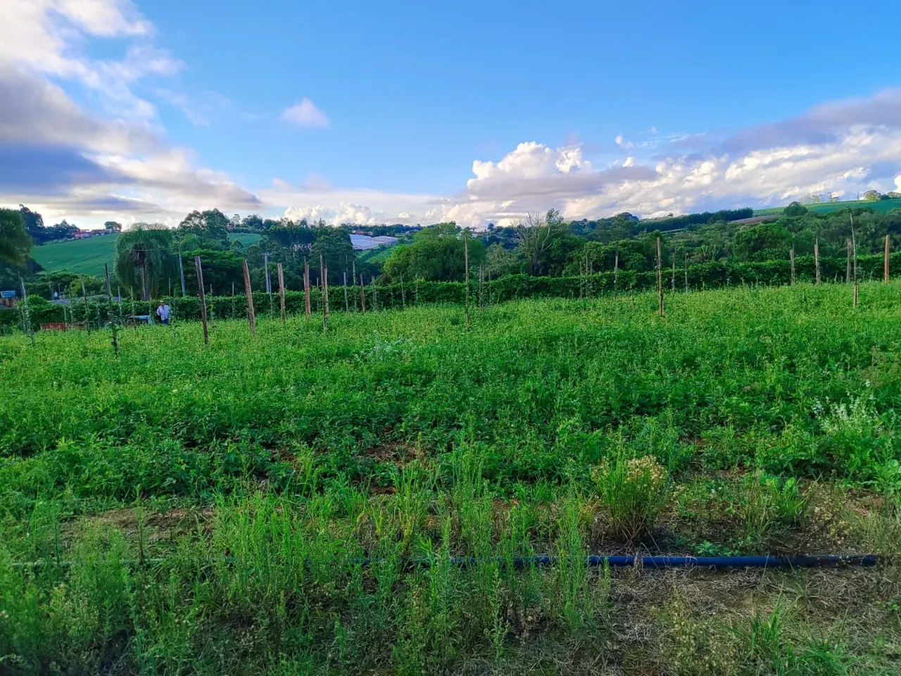 Fazenda à venda de 13 ha em São Miguel Arcanjo, SP, Brasil