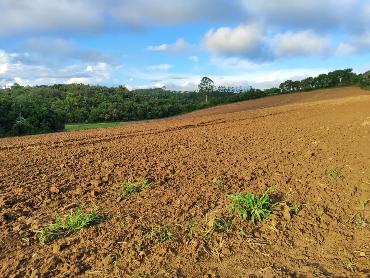 Fazenda à venda de 13 ha em São Miguel Arcanjo, SP, Brasil