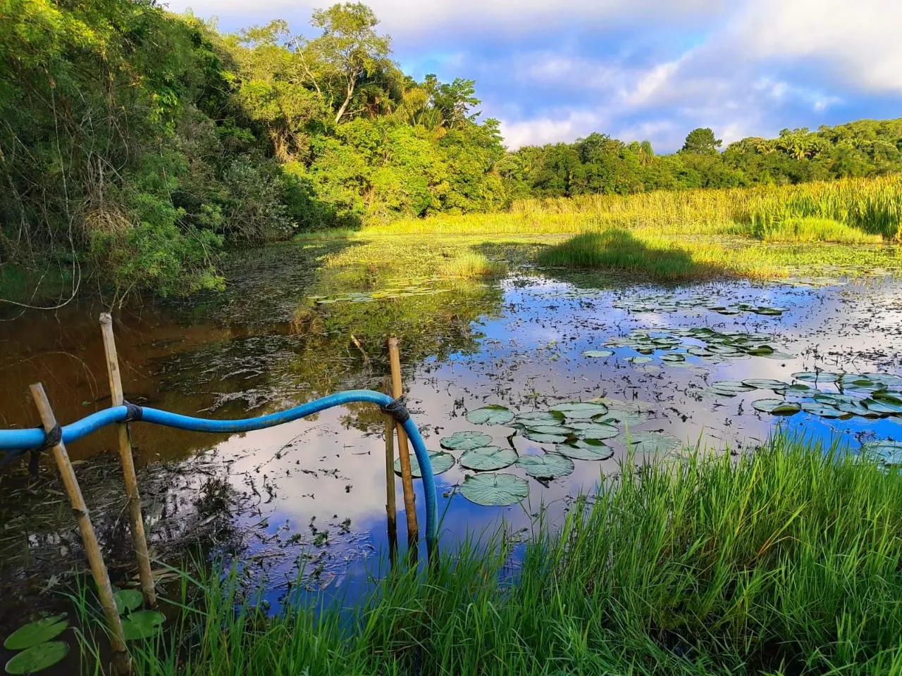Fazenda à venda de 13 ha em São Miguel Arcanjo, SP, Brasil