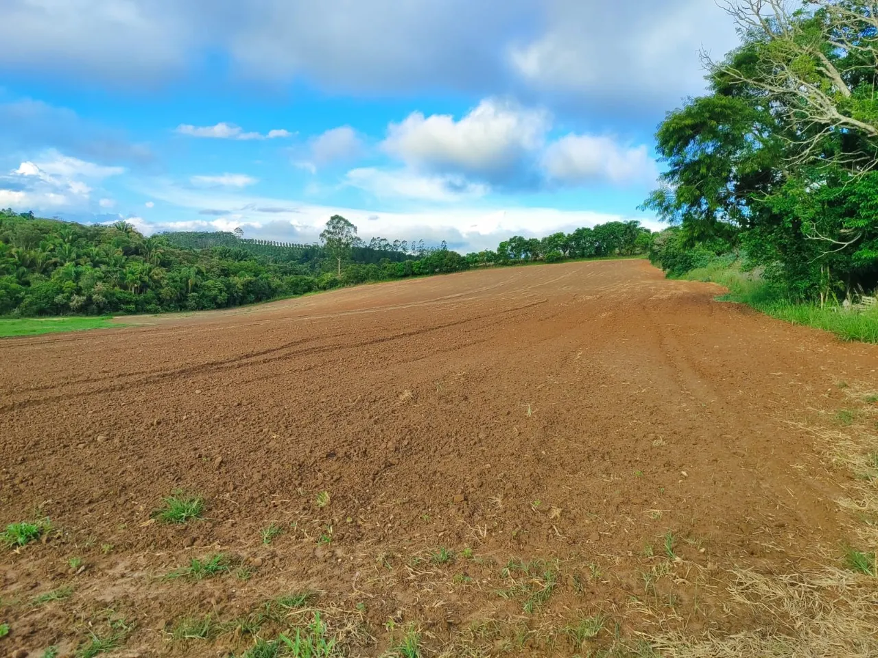 Fazenda à venda de 13 ha em São Miguel Arcanjo, SP, Brasil