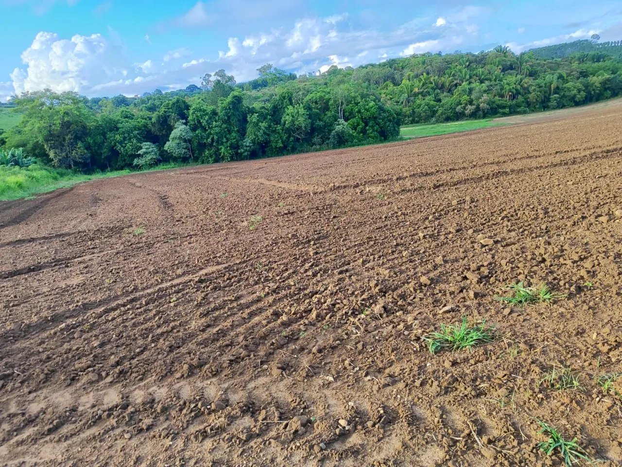 Fazenda à venda de 13 ha em São Miguel Arcanjo, SP, Brasil