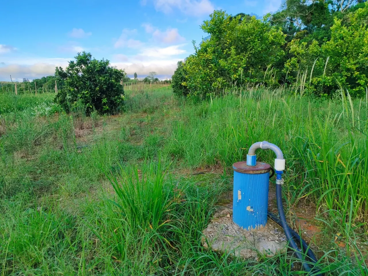 Fazenda à venda de 13 ha em São Miguel Arcanjo, SP, Brasil