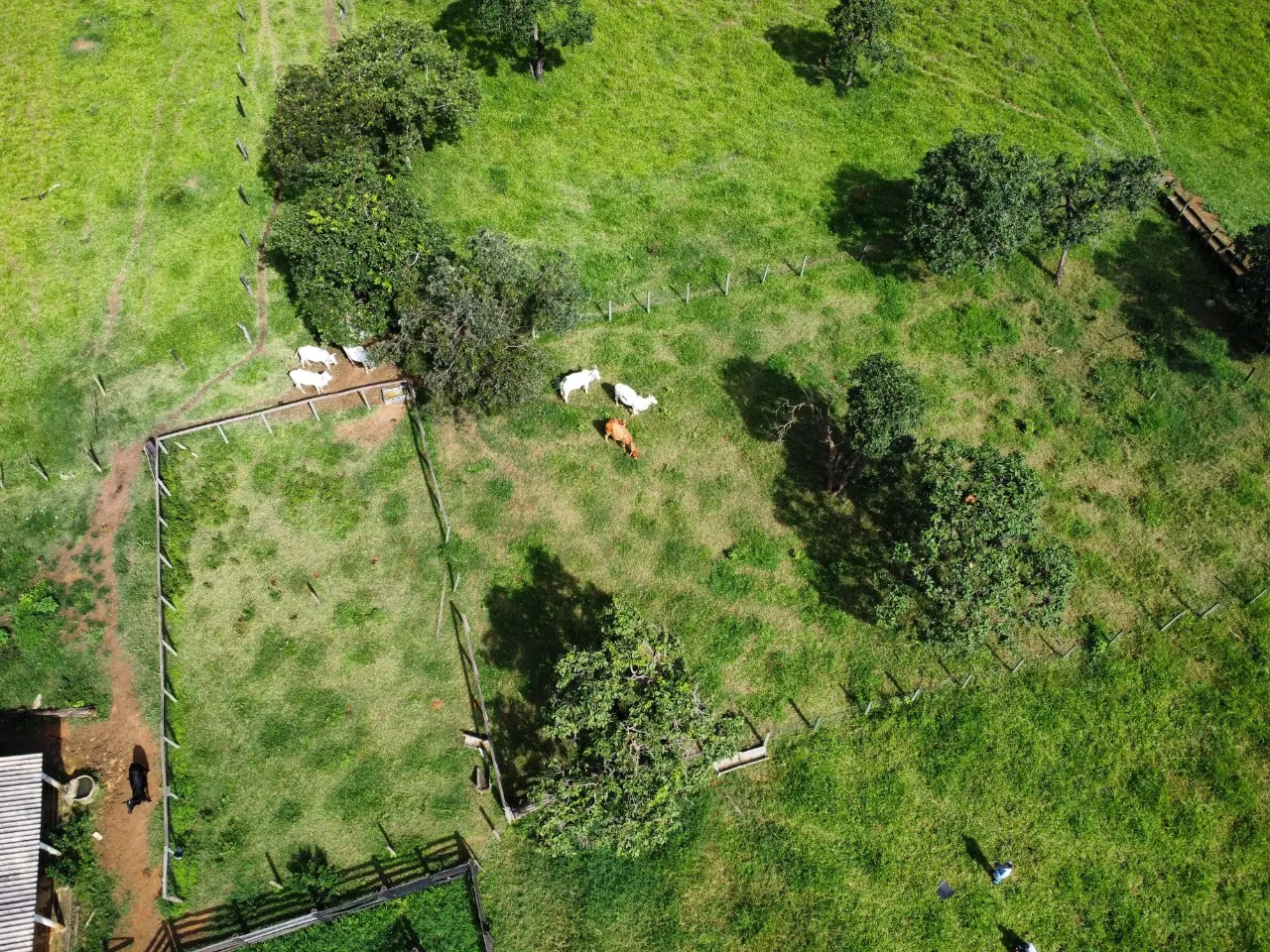 Fazenda à venda de 39 ha em Luziânia, GO, Brasil