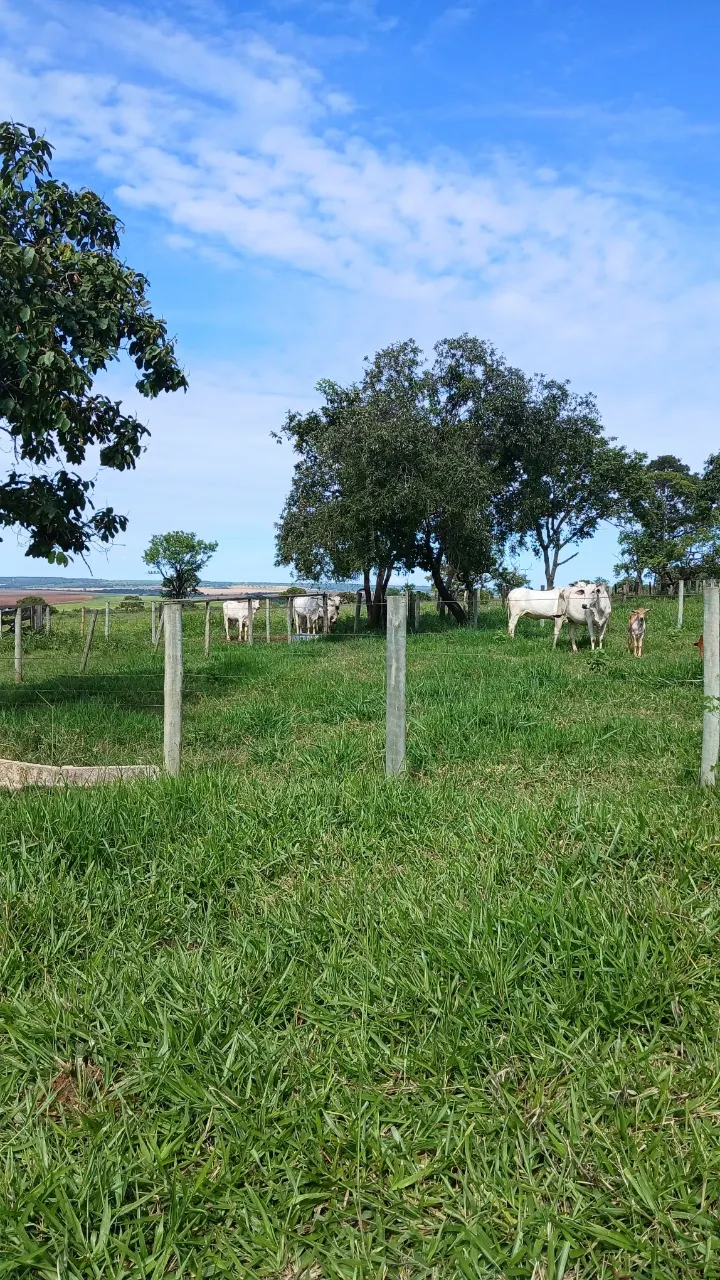 Fazenda à venda de 39 ha em Luziânia, GO, Brasil
