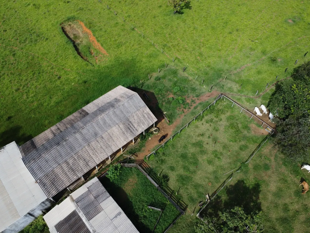 Fazenda à venda de 39 ha em Luziânia, GO, Brasil