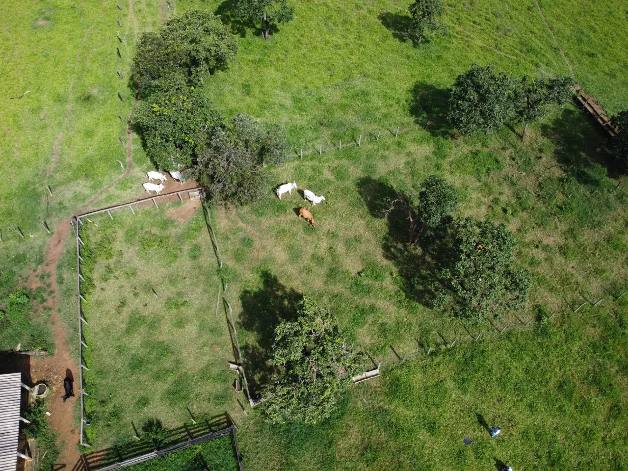 Fazenda à venda de 39 ha em Luziânia, GO, Brasil