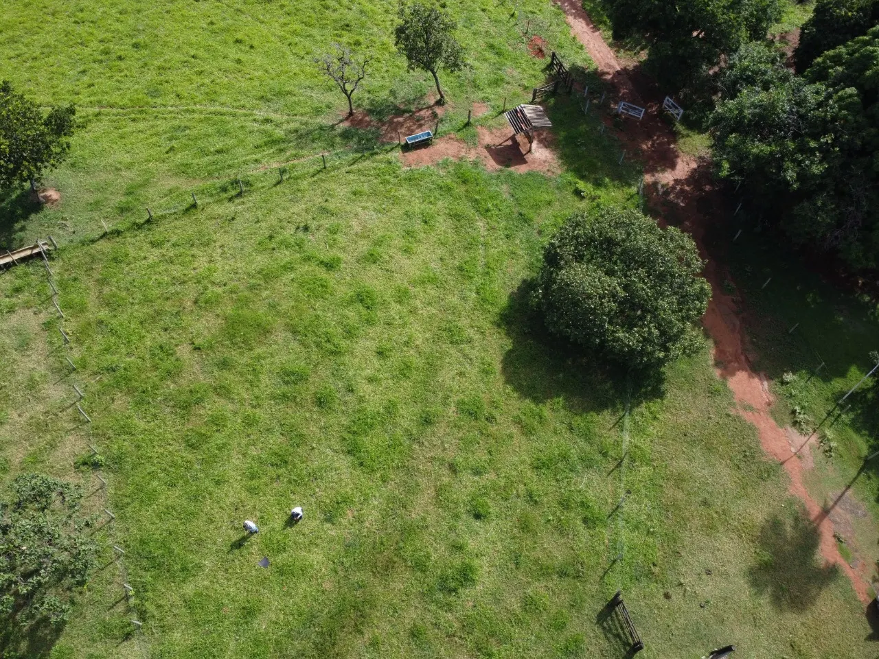Fazenda à venda de 39 ha em Luziânia, GO, Brasil