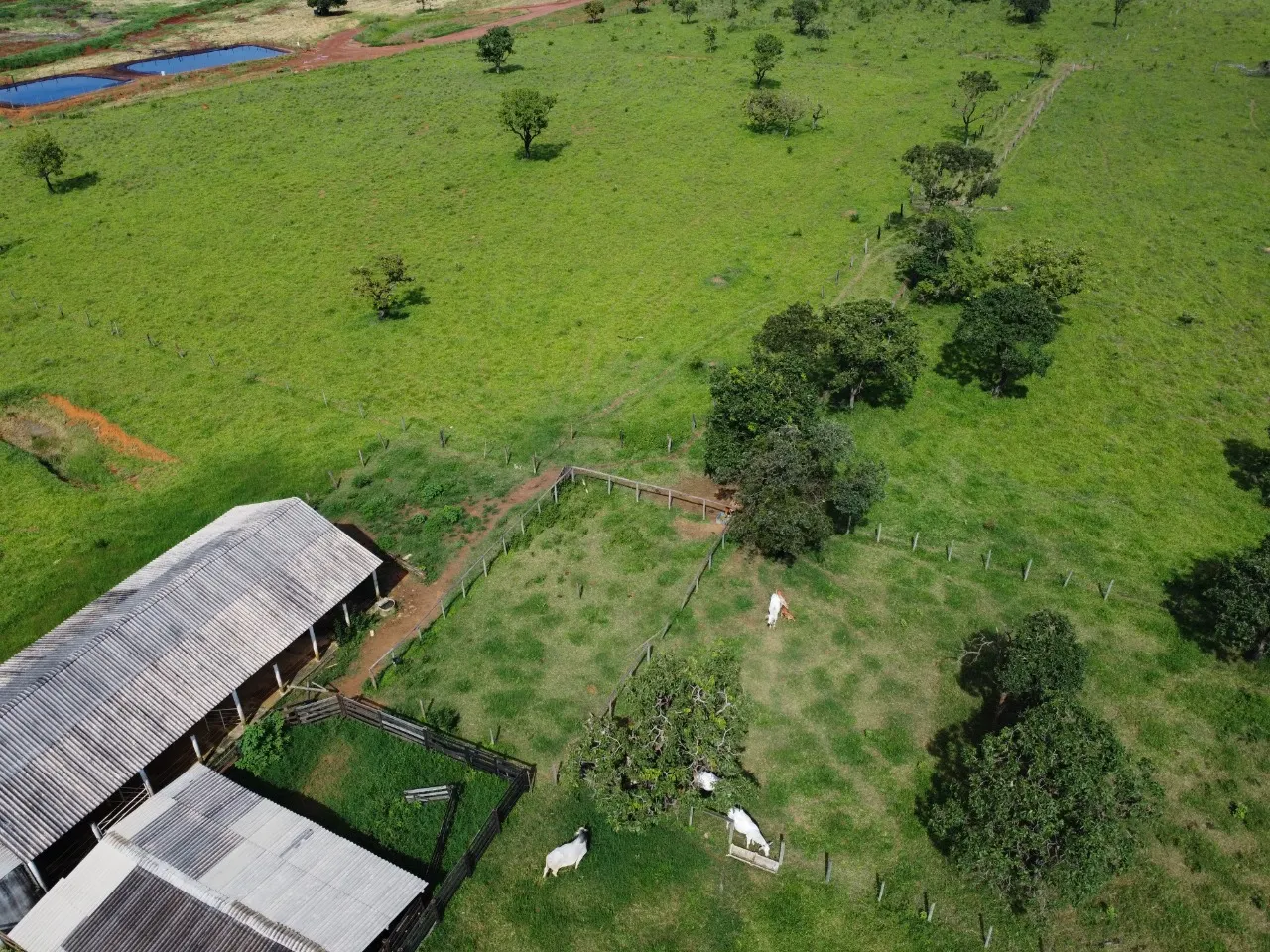 Fazenda à venda de 39 ha em Luziânia, GO, Brasil
