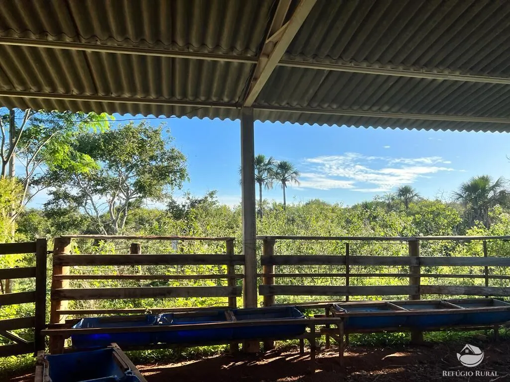 Sítio à venda de 68 ha em Prata, MG, Brasil
