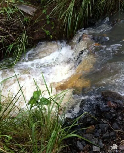 Sítio à venda de 68 ha em Prata, MG, Brasil