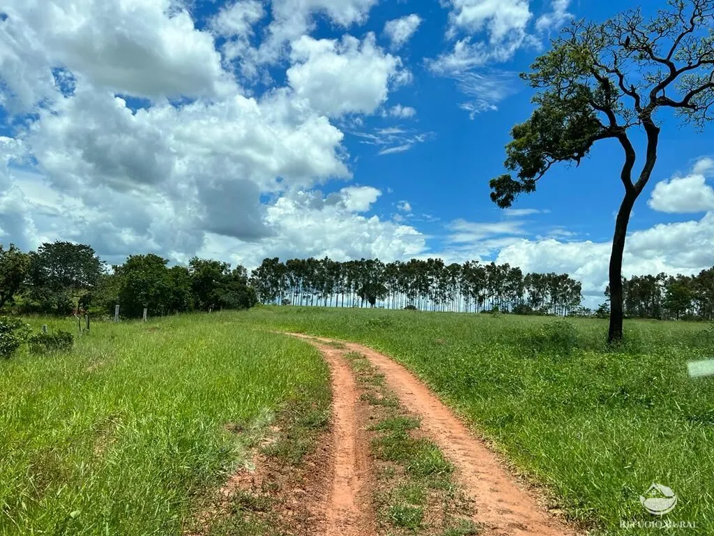 Sítio à venda de 68 ha em Prata, MG, Brasil