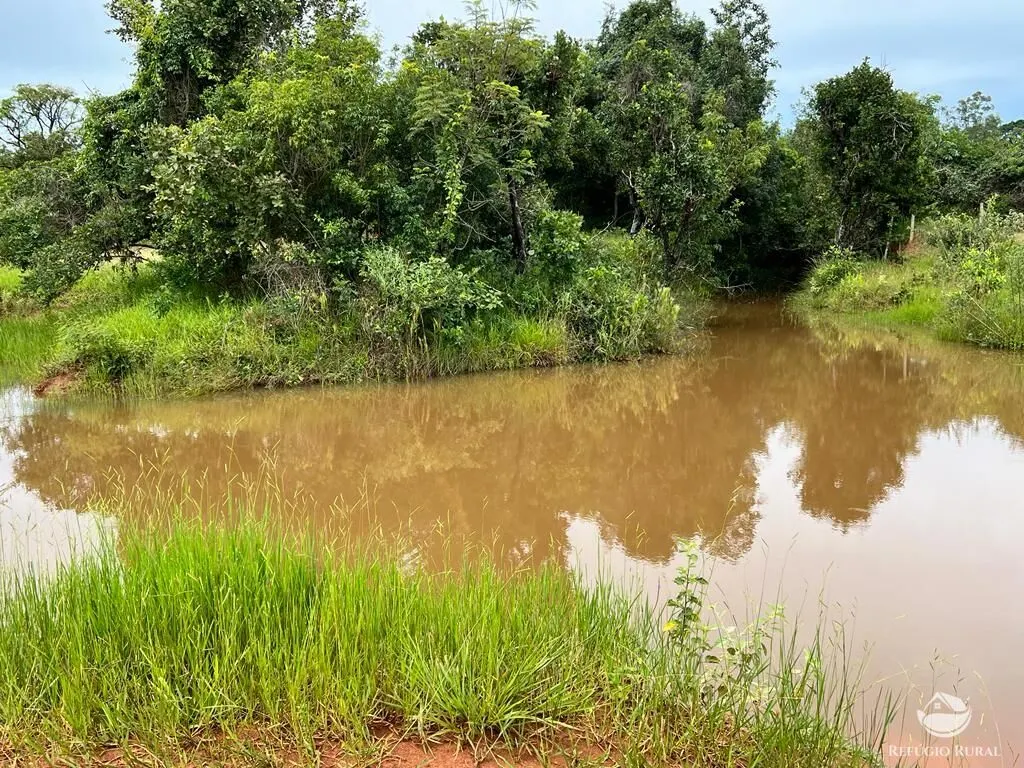 Sítio à venda de 68 ha em Prata, MG, Brasil