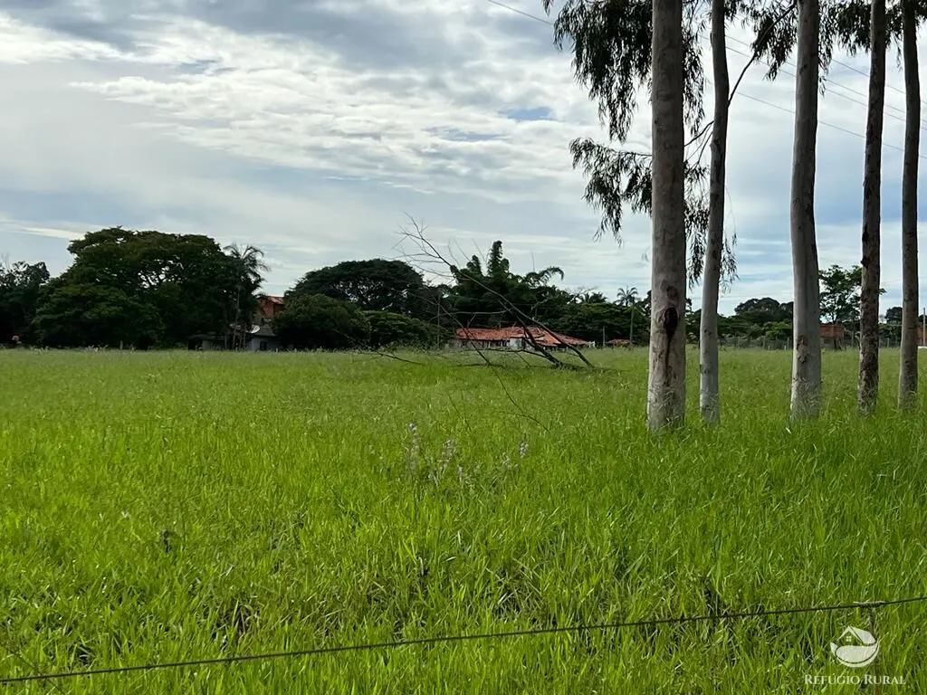 Sítio à venda de 68 ha em Prata, MG, Brasil
