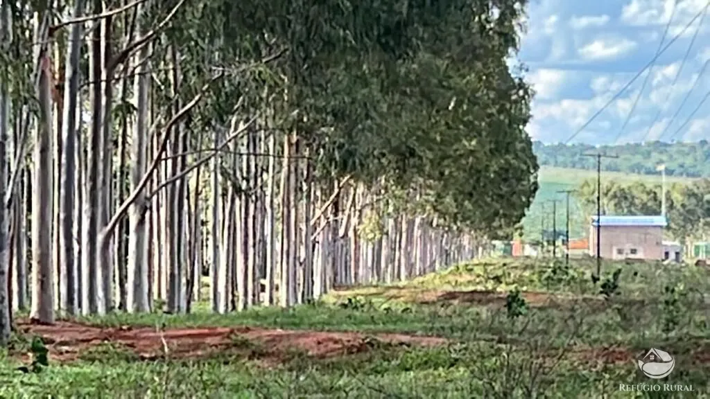 Sítio à venda de 68 ha em Prata, MG, Brasil
