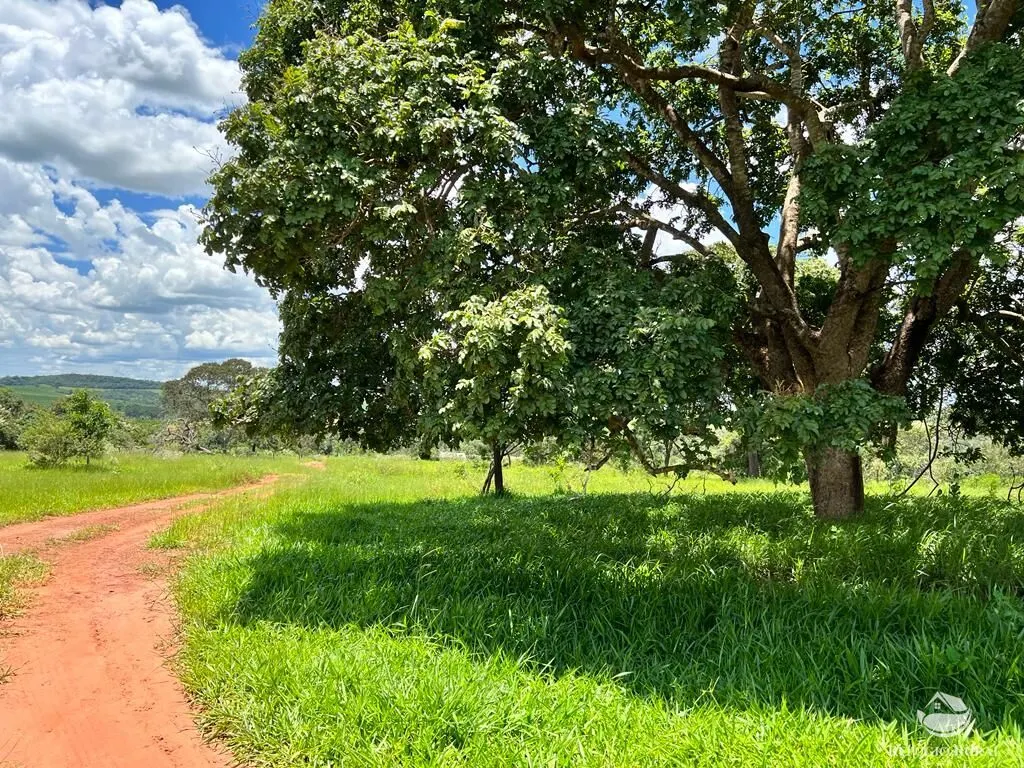 Sítio à venda de 68 ha em Prata, MG, Brasil