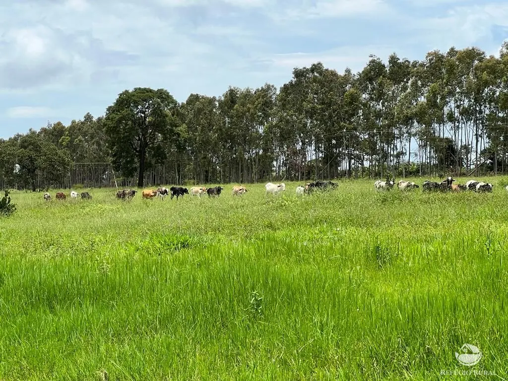 Sítio à venda de 68 ha em Prata, MG, Brasil