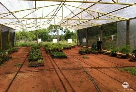 Sítio à venda de 68 ha em Prata, MG, Brasil