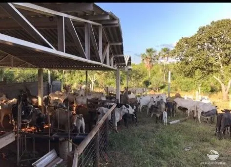 Sítio à venda de 68 ha em Prata, MG, Brasil