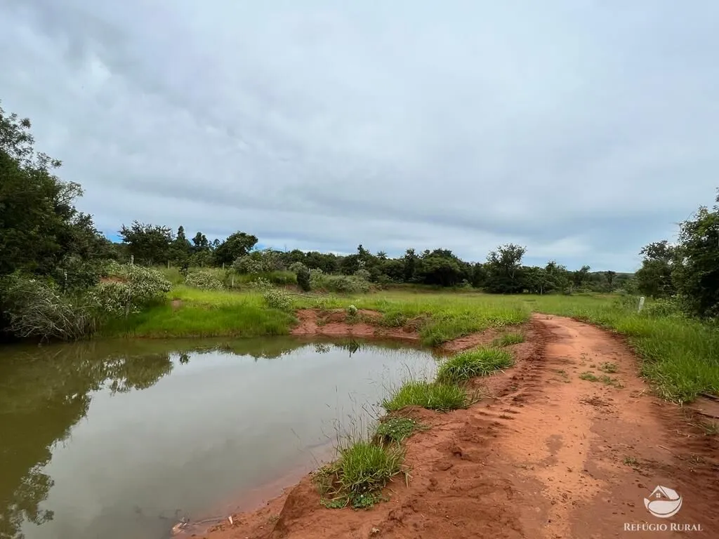 Sítio à venda de 68 ha em Prata, MG, Brasil