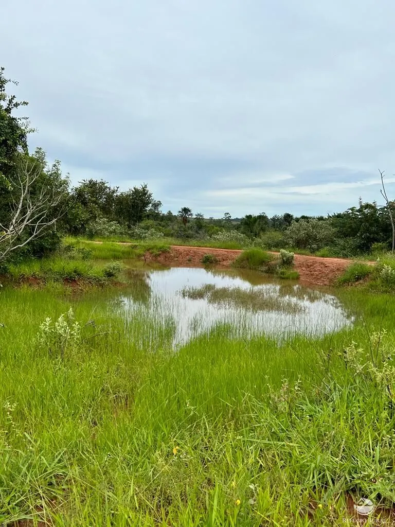 Sítio à venda de 68 ha em Prata, MG, Brasil