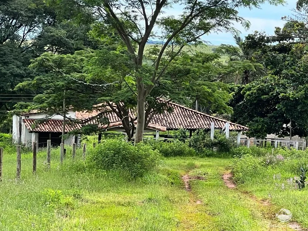 Sítio à venda de 68 ha em Prata, MG, Brasil