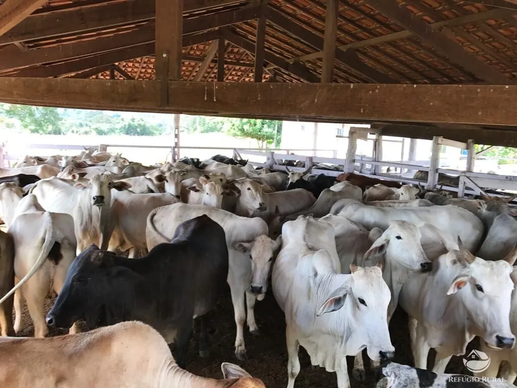 Sítio à venda de 68 ha em Prata, MG, Brasil