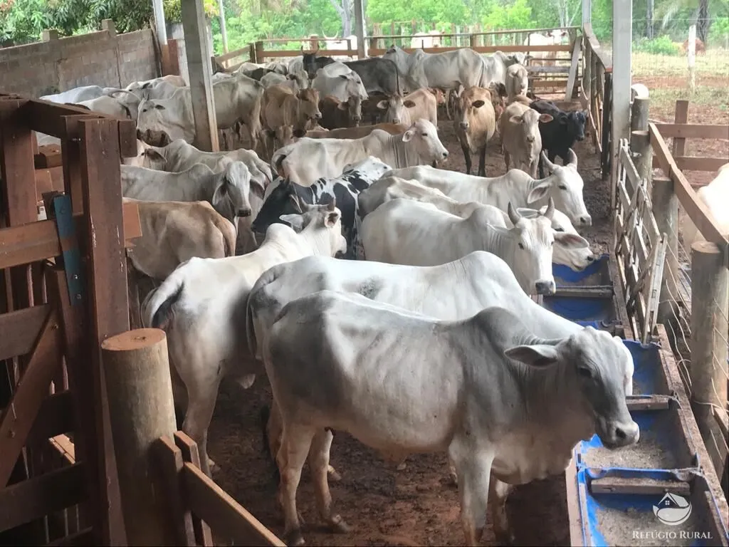 Sítio à venda de 68 ha em Prata, MG, Brasil