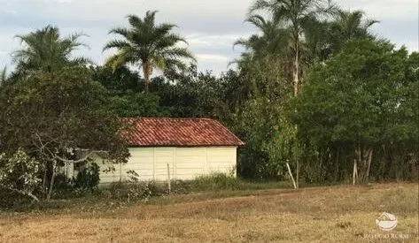 Sítio à venda de 68 ha em Prata, MG, Brasil