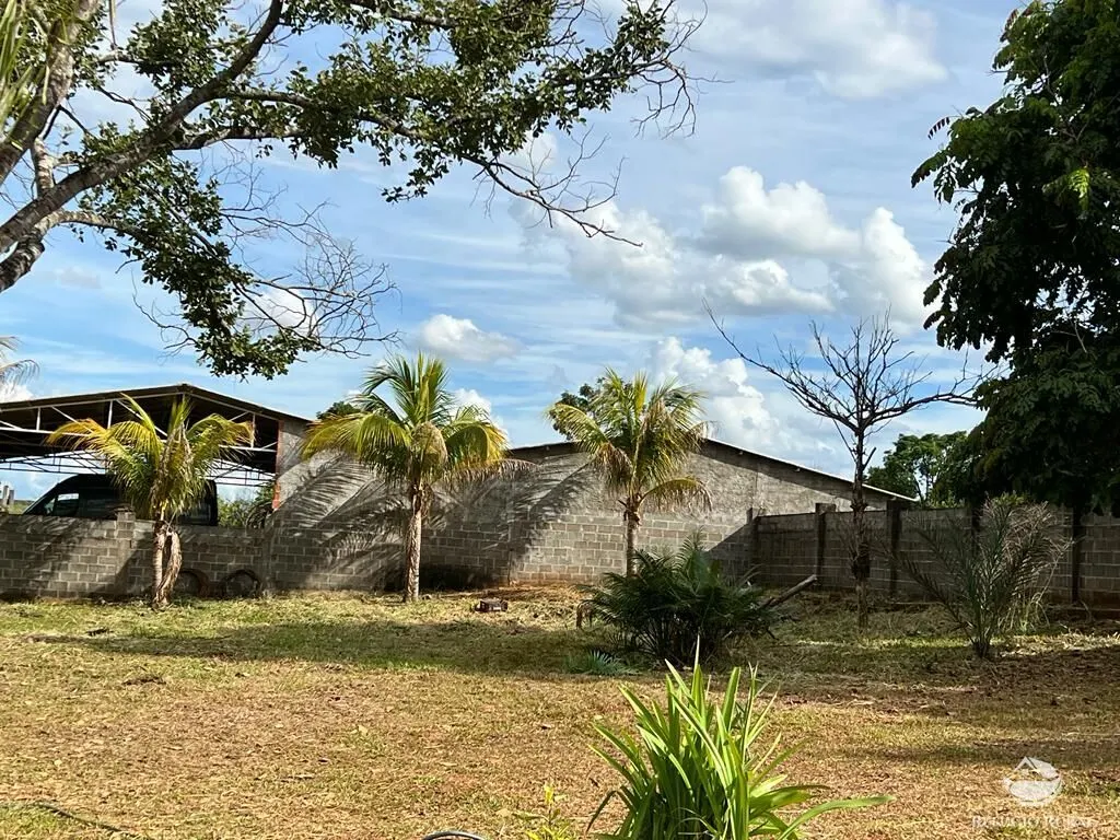 Sítio à venda de 68 ha em Prata, MG, Brasil