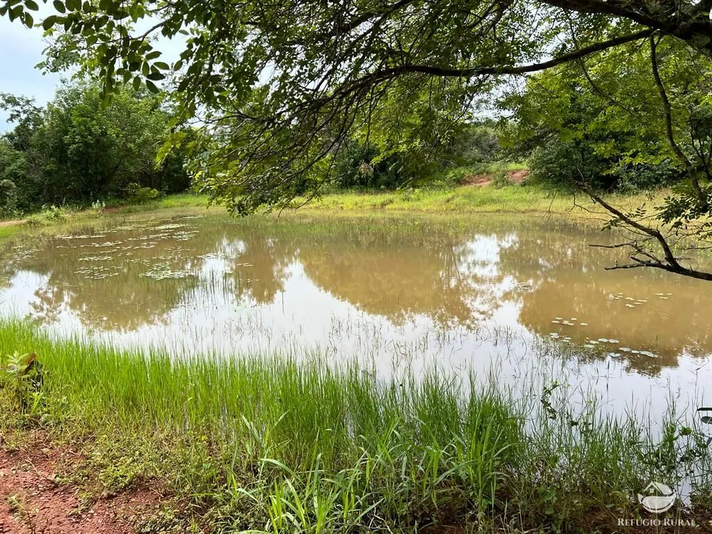 Sítio à venda de 68 ha em Prata, MG, Brasil