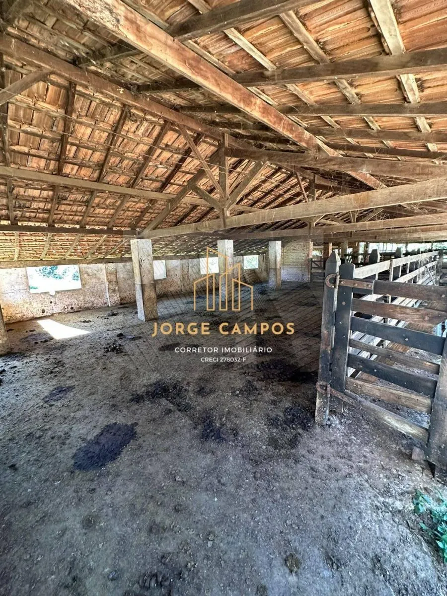 Fazenda à venda de 300 ha em Cruzeiro, SP, Brasil