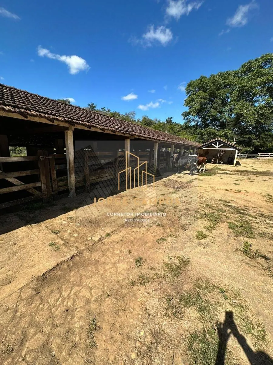 Fazenda à venda de 300 ha em Cruzeiro, SP, Brasil