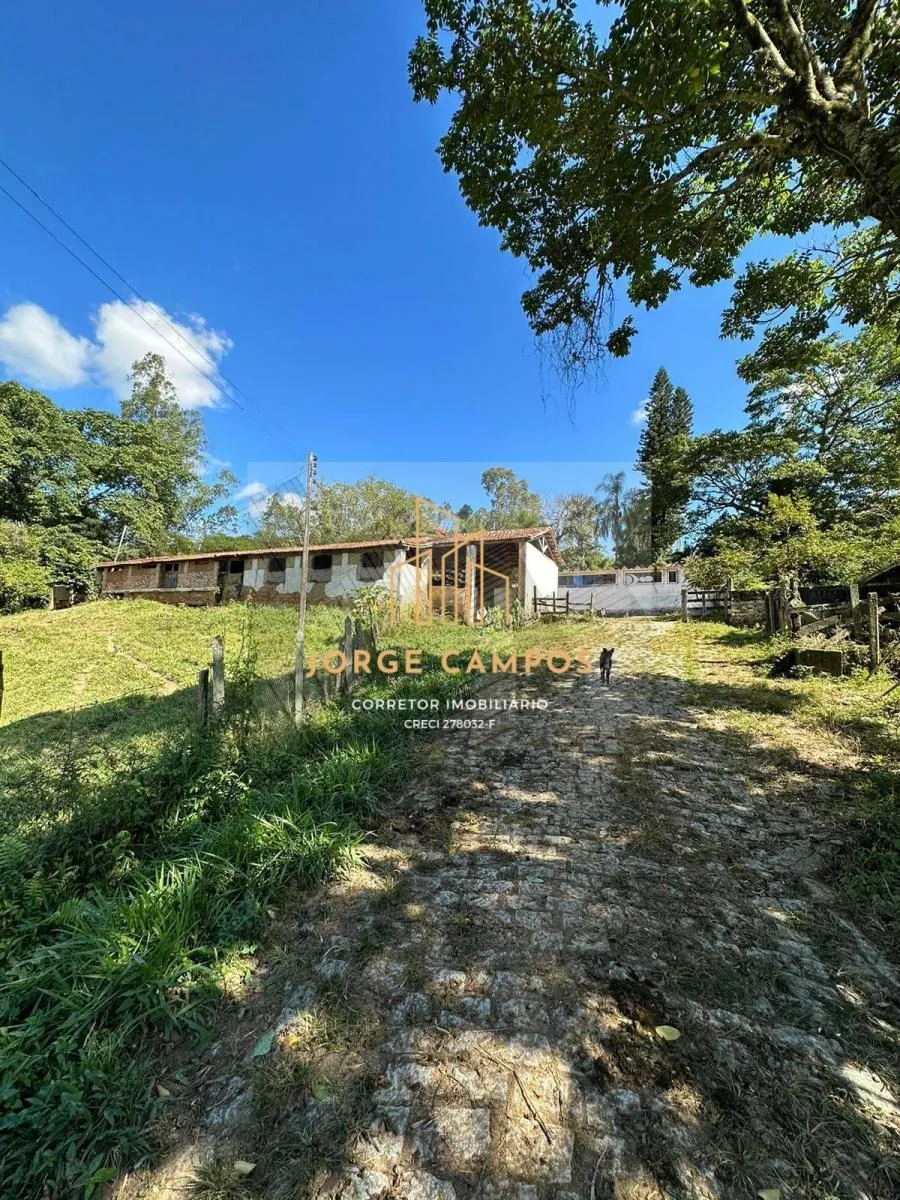 Fazenda à venda de 300 ha em Cruzeiro, SP, Brasil