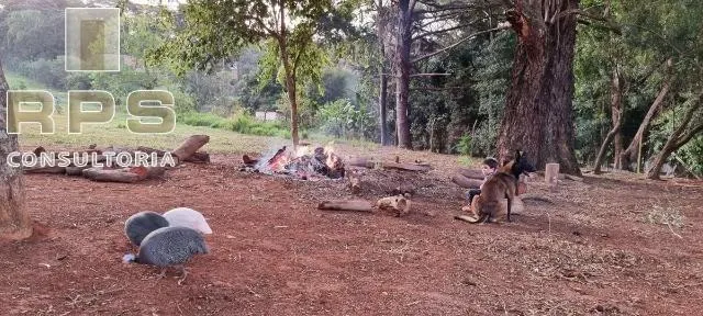 Chácara à venda de 1 ha em Atibaia, SP, Brasil