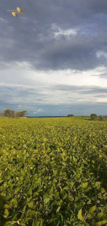 Fazenda à venda de 7.534 ha em Nobres, MT, Brasil