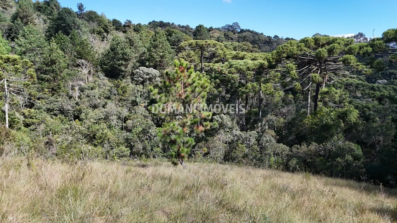 Plot for sale of 4 acres in Campos do Jordão, SP, Brazil