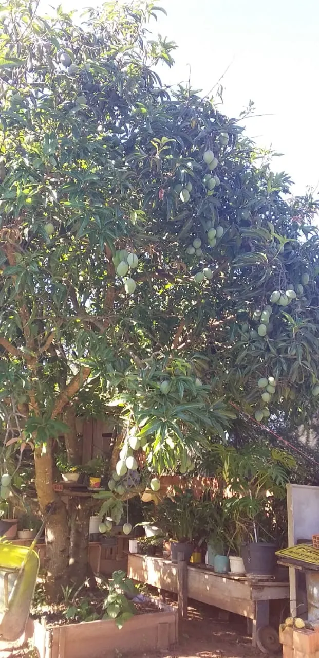 Country home for sale of 2,000 m² in Itapetininga, SP, Brazil