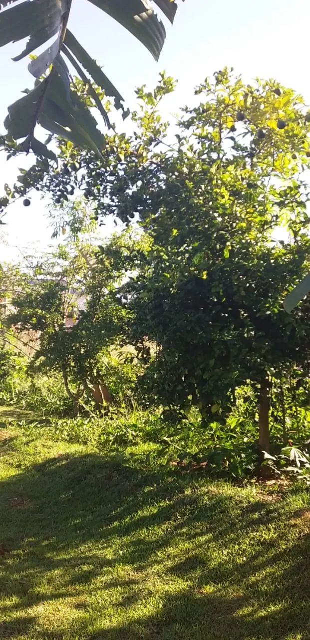 Country home for sale of 2,000 m² in Itapetininga, SP, Brazil