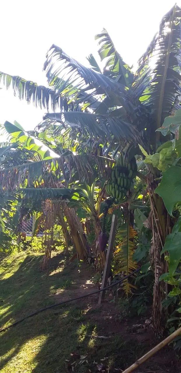 Country home for sale of 2,000 m² in Itapetininga, SP, Brazil