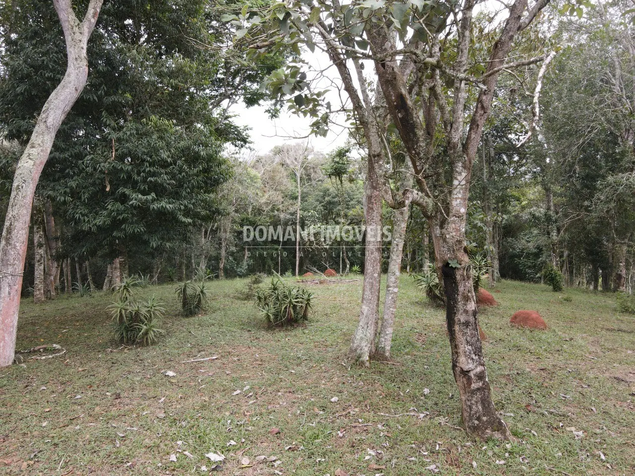 Terreno à venda de 4.860 m² em Santo Antônio do Pinhal, SP, Brasil
