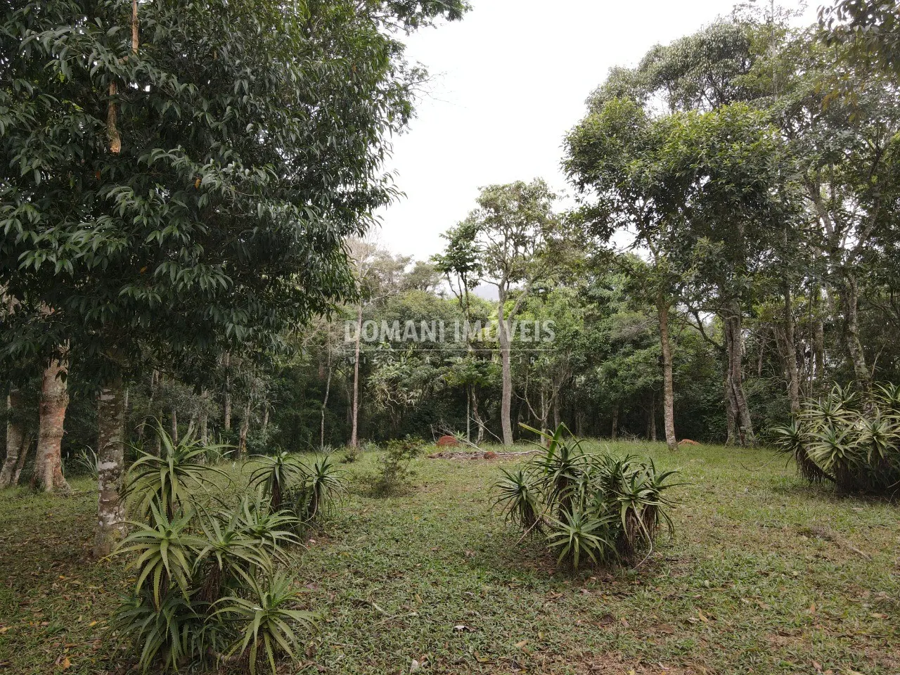 Terreno à venda de 4.860 m² em Santo Antônio do Pinhal, SP, Brasil